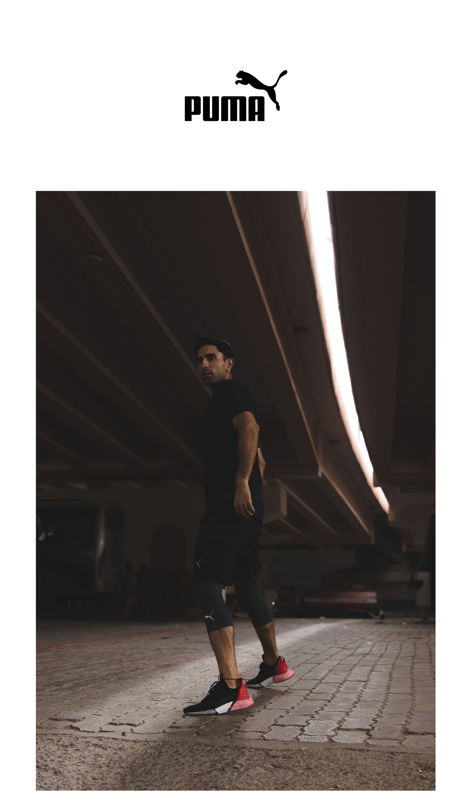 Puma